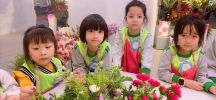 Ảnh trải nghiệm KizCiti