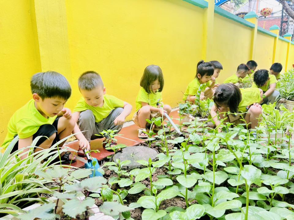 Các bé Lớp B3 trải nghiệm: "Chăm sóc vườn rau"