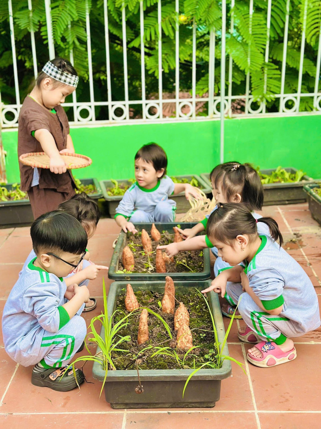 Các bé lớp C3 rộn ràng với HĐTN: "Khoai nướng thơm lừng" 🍠